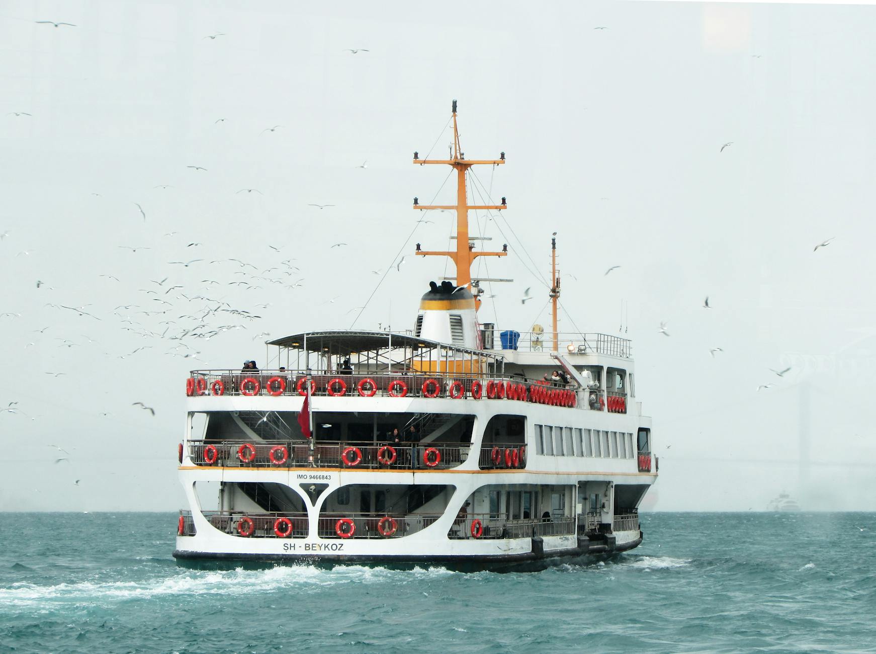 white ship traveling through vast body of water with white birds flying beside